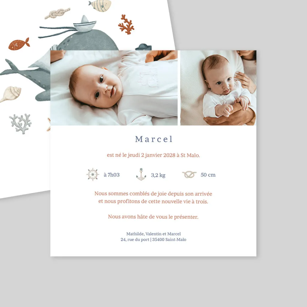 Faire-part Naissance Animaux | Faire-part Naissance Fille^Planet cards Petite Baleine