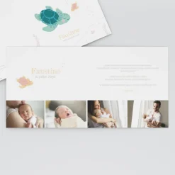 Faire-part Naissance Animaux | Faire-part Naissance Fille^Planet cards Petite Tortue Fille