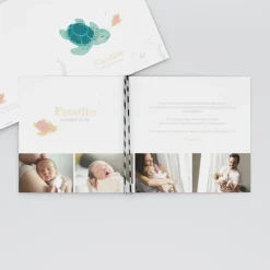 Faire-part Naissance Animaux | Faire-part Naissance Fille^Planet cards Petite Tortue Fille