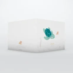 Faire-part Naissance Animaux | Faire-part Naissance Fille^Planet cards Petite Tortue Fille