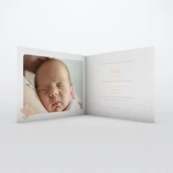 Faire-part Naissance Animaux | Faire-part Naissance Fille^Planet cards Petite Tortue Fille