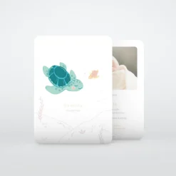 Faire-part Naissance Animaux | Faire-part Naissance Fille^Planet cards Petite Tortue Fille