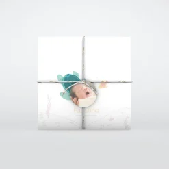 Faire-part Naissance Animaux | Faire-part Naissance Fille^Planet cards Petite Tortue Fille