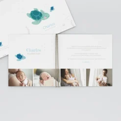 Faire-part Naissance Animaux | Faire-part Naissance Garçon^Planet cards Petite Tortue Garçon