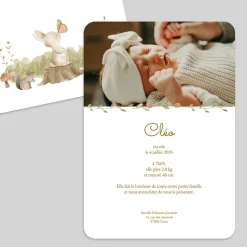 Faire-part Naissance Animaux | Faire-part Naissance Fille^Planet cards Petits Animaux en forêt