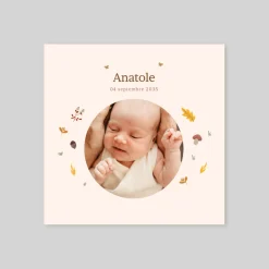 Faire-part Naissance Fille | Faire-part Naissance Garçon^Planet cards Photo et ronde de l'automne