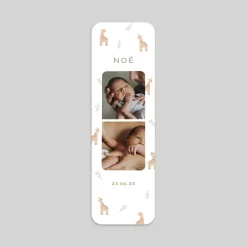 Faire-part Naissance Animaux | Faire-part Naissance Original^Planet cards Photomaton et Petites Girafes