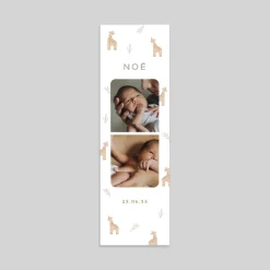 Faire-part Naissance Animaux | Faire-part Naissance Original^Planet cards Photomaton et Petites Girafes