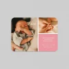Faire-part Naissance Magnet^Planet cards Photos et Bloc Coloré