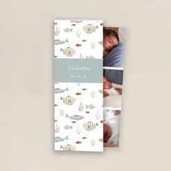 Faire-part Naissance Animaux | Faire-part Naissance Marque-page^Planet cards Poissons et Coraux