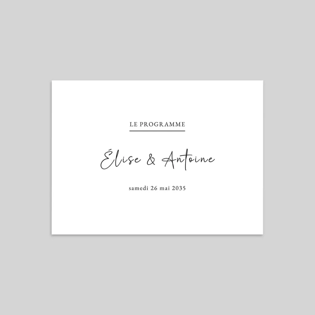 Programme De Mariage^Planet cards Programme élégant