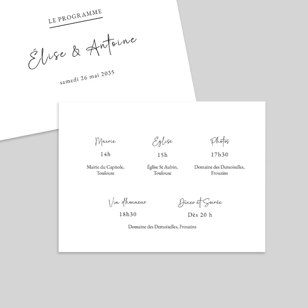 Programme De Mariage^Planet cards Programme élégant