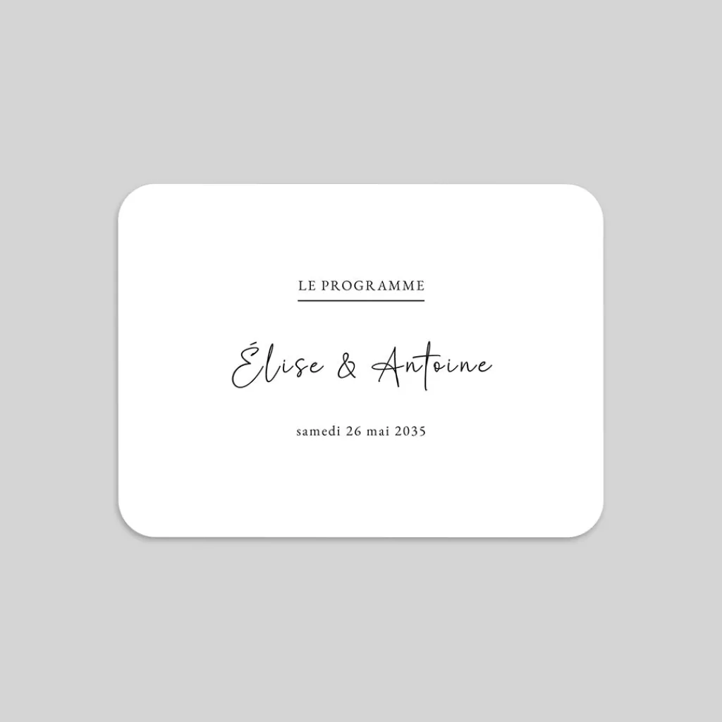Programme De Mariage^Planet cards Programme élégant
