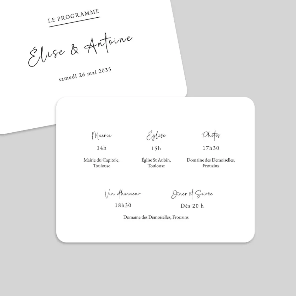 Programme De Mariage^Planet cards Programme élégant