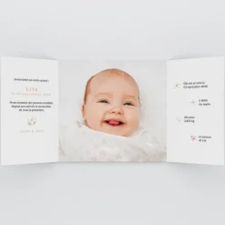 Faire-part Naissance Animaux^Planet cards Renard et Couronne Liberty