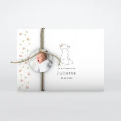 Faire-part Naissance Animaux^Planet cards Renard et Liberty