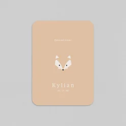 Faire-part Naissance Animaux | Faire-part Naissance Garçon^Planet cards Renard Minimaliste
