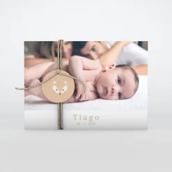 Faire-part Naissance Animaux | Faire-part Naissance Garçon^Planet cards Renard Minimaliste