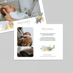 Faire-part Naissance Animaux | Faire-part Naissance Fille^Planet cards Safari