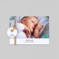 Faire-part Naissance Animaux | Créations En Collaboration^Planet cards Tiwipi Renard