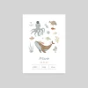 Faire-part Naissance Animaux | Faire-part Naissance Fille^Planet cards Trésor des Mers