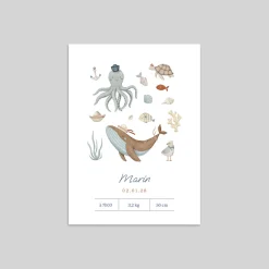 Faire-part Naissance Animaux | Faire-part Naissance Fille^Planet cards Trésor des Mers