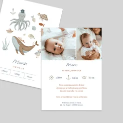 Faire-part Naissance Animaux | Faire-part Naissance Fille^Planet cards Trésor des Mers