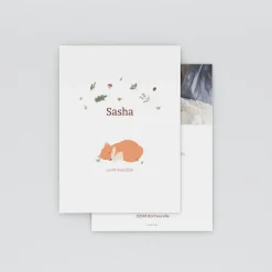 Faire-part Naissance Animaux | Faire-part Naissance Fille^Planet cards Un renard en automne